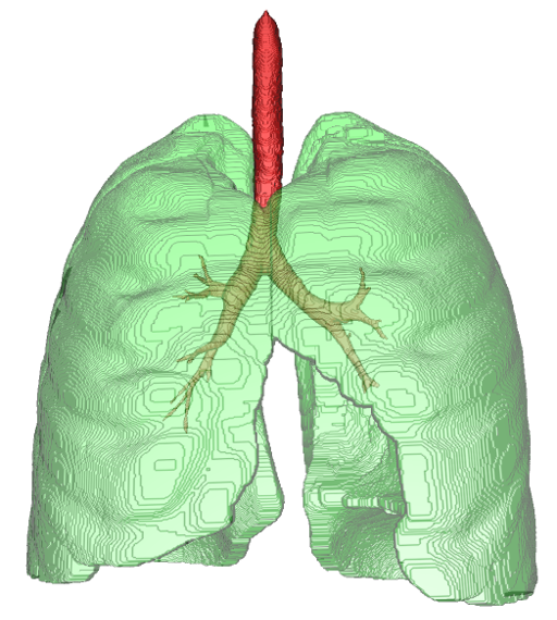 Lung segmentation